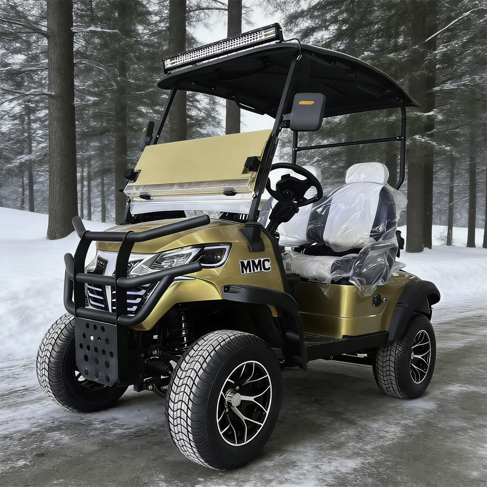 High-Performance 60V Fast-Spee - Outdoor Adventure Golf recension och pris